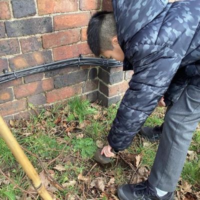 Spring has sprung! Today we did a late planting experiment, to see if any flowers will pop up in the next few months.