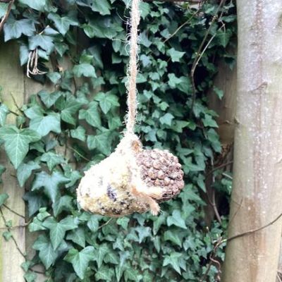 This week we made natural bird feeders from pine cones.