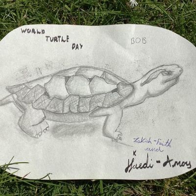 Thank you to everyone who entered our World Turtle Day competition.